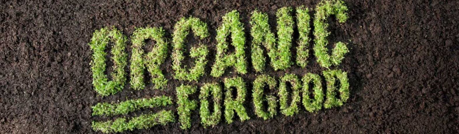 How to Identify a Truly Organic Product How to Identify a Truly Organic Product