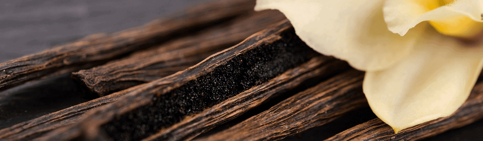 The Many Uses and Benefits of Black Vanilla Pods The Many Uses and Benefits of Black Vanilla Pods