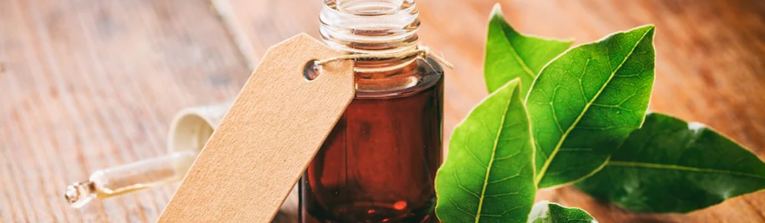 Sweet, Cool & Healing: The Benefits of Buchu Oil